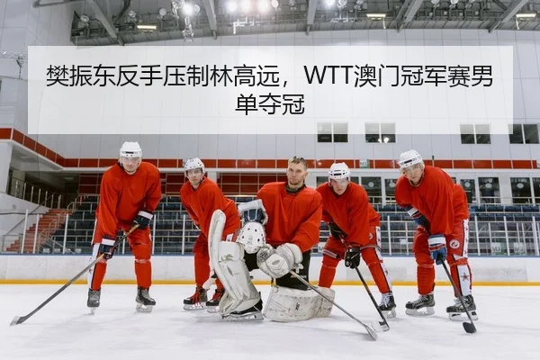 樊振东反手压制林高远，WTT澳门冠军赛男单夺冠